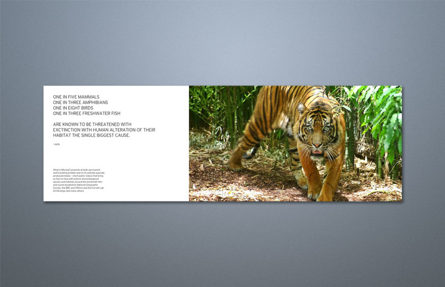 Interiors: 80 pages, 9-1/2" x 6-1/2" plus bleed oblong (spine 6.5") page trim. Printing digital color 2/sides (4/4) on 100# bright white opaque Text. Collate, gather and bind with covers.